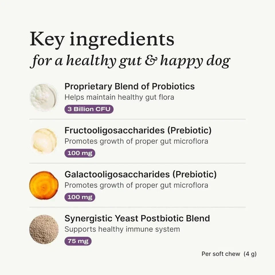 PetLabCo Probiotic Chews for Dogs 2 Pack – Essence Enclave